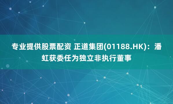 专业提供股票配资 正道集团(01188.HK)：潘虹获委任为独立非执行董事