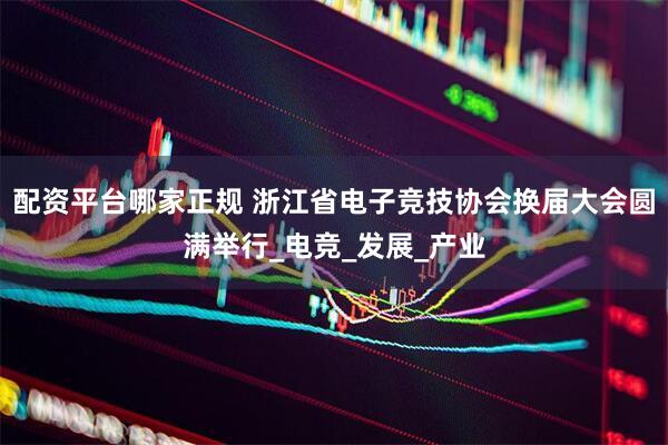 配资平台哪家正规 浙江省电子竞技协会换届大会圆满举行_电竞_发展_产业